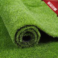 uploads/erp/collection/images/Home Garden/CongDing/XU0612336/img_b/XU0612336_img_b_1
